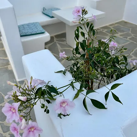 Ione * Naxos City